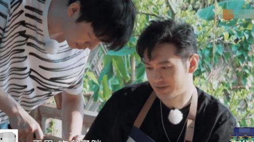 何老师黄磊吃瓜,娱乐圈幕后趣闻大揭秘