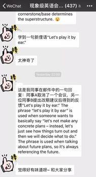 不问别离吃瓜版搞笑,一场欢乐的搞笑盛宴