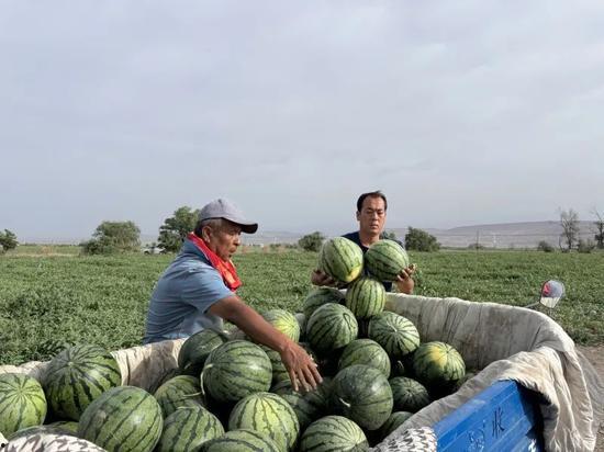 一晴吃瓜,揭秘娱乐圈那些不为人知的幕后故事