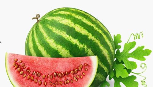 吃瓜降温图片,吃瓜降温，清凉一夏！