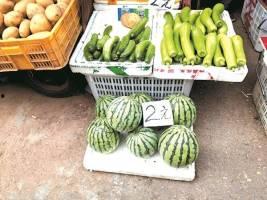 自由吃瓜基地停用