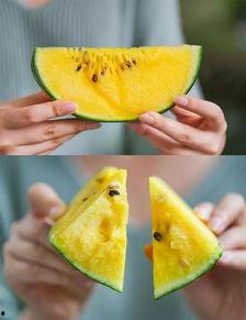 衢州阿奈吃瓜,揭秘网络红人的日常生活