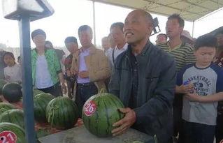 隆林吃瓜群众,吃瓜群众视角下的地方风情