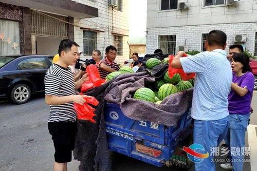 湘乡市吃瓜,瓜果飘香，品味生活新篇章