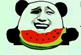 内蒙吃瓜群众,内蒙古“吃瓜群众”的夏日生活画卷