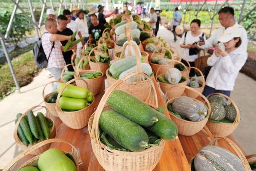 苏州展会吃瓜,吃瓜群众围观美食盛宴