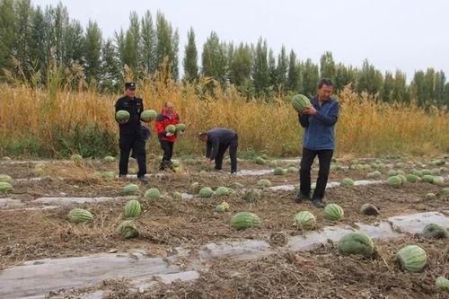 吃瓜群众岱岱 文章