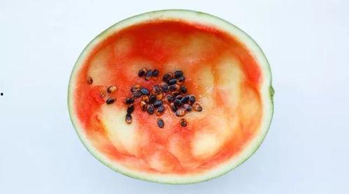 拿勺吃的瓜,揭秘网络热词背后的趣味与内涵