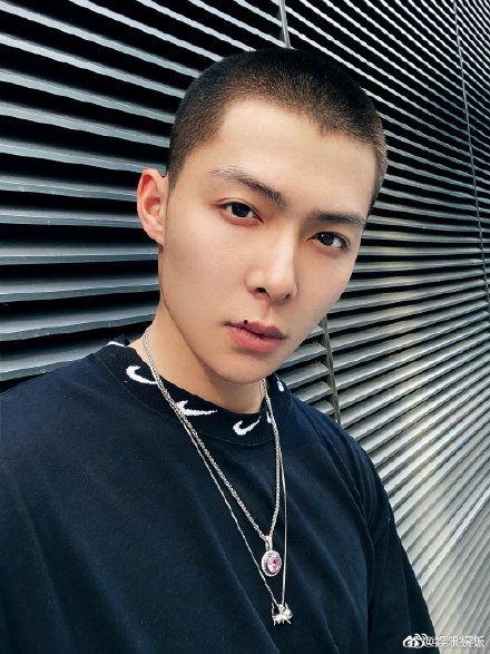 吃瓜张铭恩论文,网络舆论场中的明星效应与粉丝心理