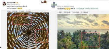 徐诗琪吃瓜,揭秘娱乐圈幕后故事