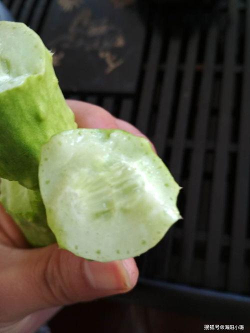 可以吃白玉瓜吗,白玉瓜的食用价值与食用指南