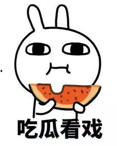 憋气吃瓜什么意思,揭秘网络流行语的趣味与内涵