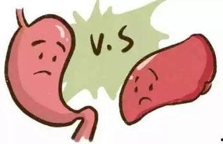 妞妞吃瓜吐籽,趣味生活瞬间捕捉