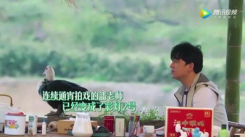 吃瓜一姐潘粤明,吃瓜一姐的瓜田传奇