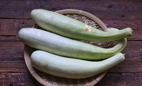 吃瓜多久会忘,揭秘遗忘时间的奥秘