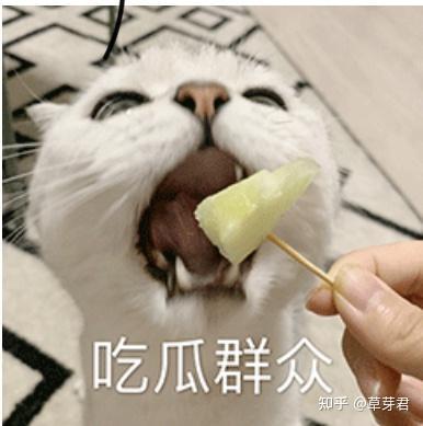 吃瓜侵犯他人隐私,警惕侵犯他人隐私的“瓜”言瓜语