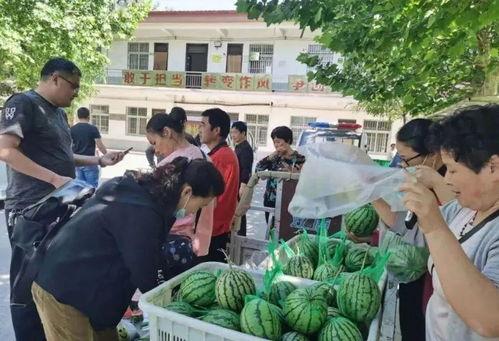 棉津吃瓜群众,揭秘娱乐圈幕后风云