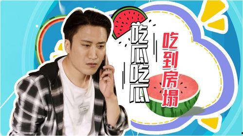 上综艺带全网吃瓜,全网吃瓜，揭秘明星幕后故事