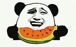 吃瓜群众瓜哥小人国,揭秘奇幻微观世界的奇妙之旅