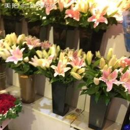 吃瓜花店视频,一场视觉与味觉的双重盛宴