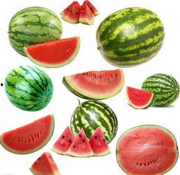 南校吃瓜,揭秘校园吃瓜背后的故事