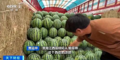 西站现场吃瓜,吃瓜群众的热闹一幕