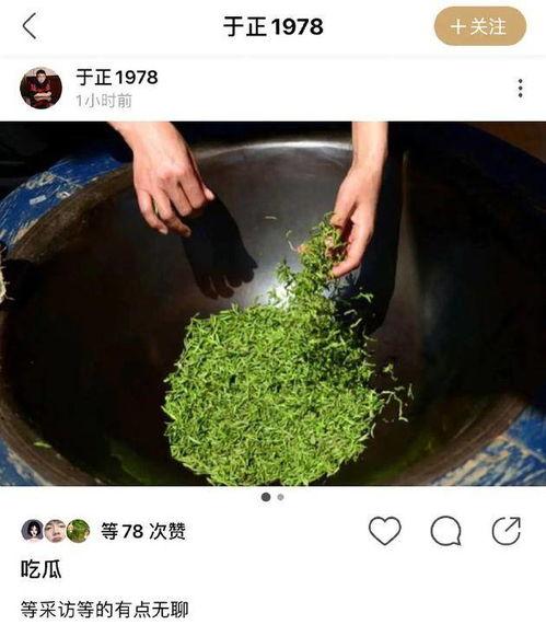 绿茶女吃瓜,揭秘网络热议背后的真相与笑料