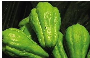 佛手瓜的籽可以吃吗,可食用之宝的奥秘探索